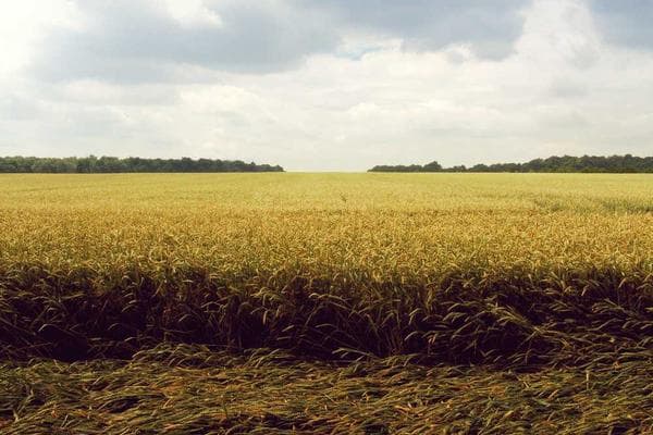 Point of Sale (POS) System