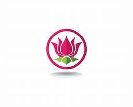 Lee Gifts and Flowers Limited